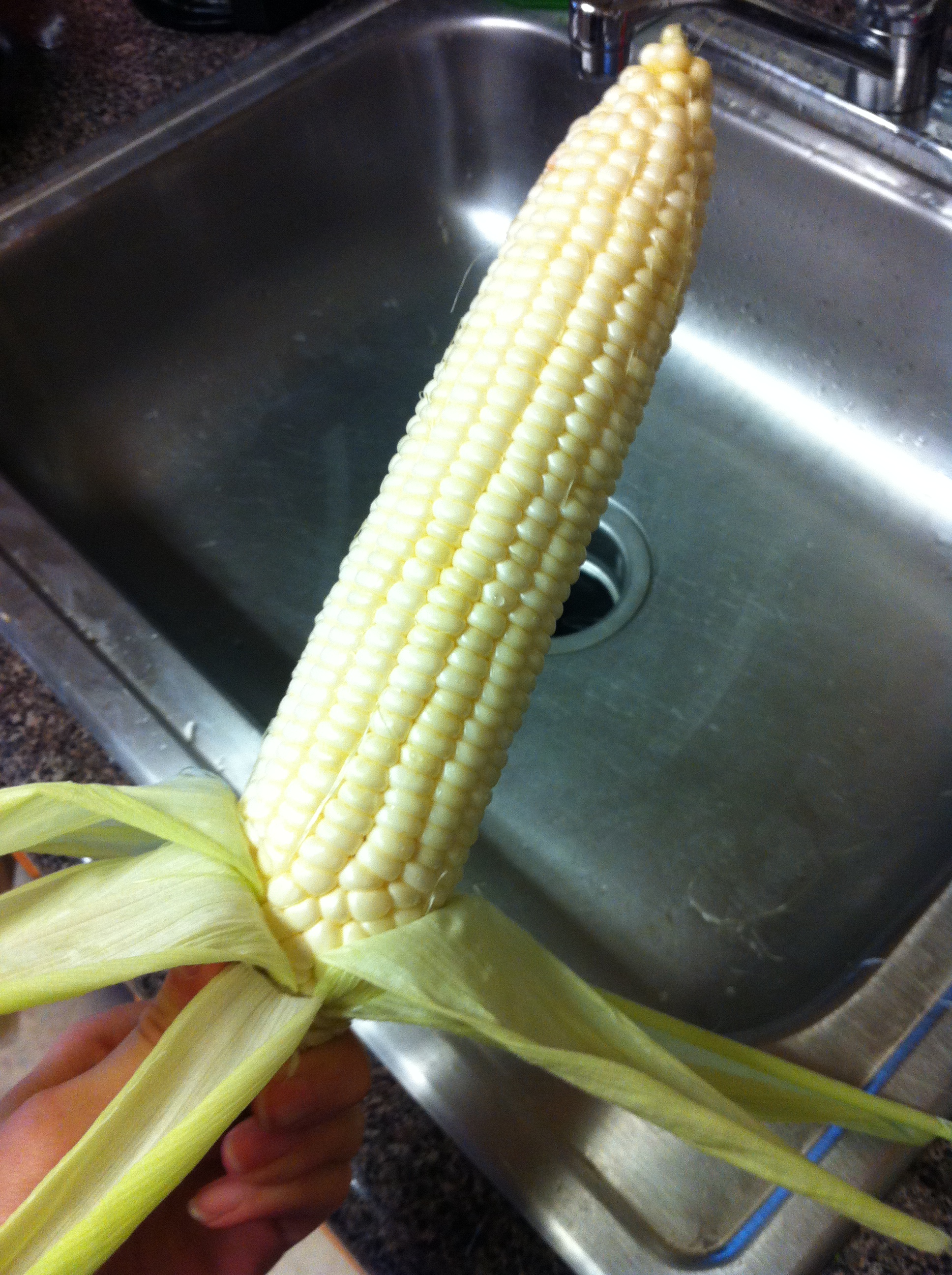 husked corn